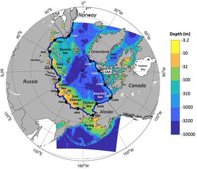 Oceanic Routing of Wind-Sourced Energy Along the Arctic Continental Shelves